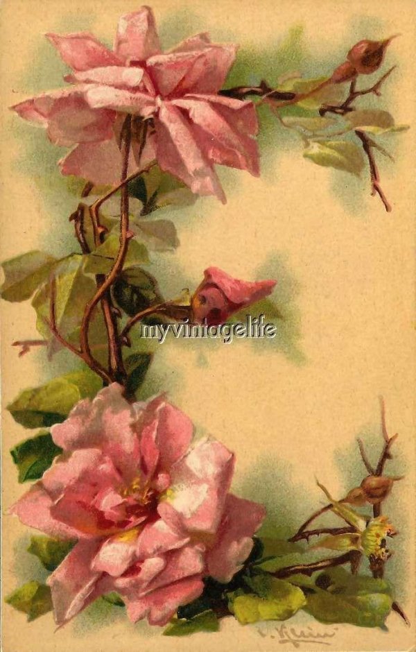 живопись катарины кляйн