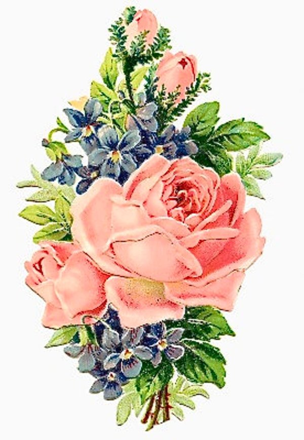 цветы винтаж