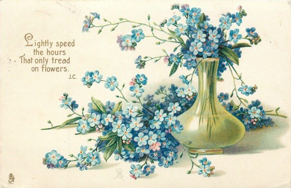 букет незабудки