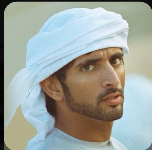 sheikh hamdan bin mohammed bin rashid al maktoum
