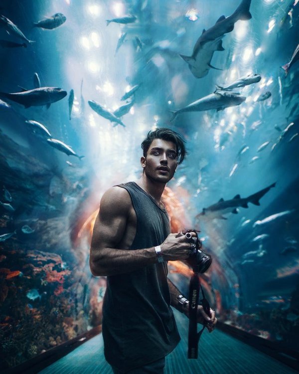 москвариум акулы