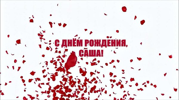 саша с день рождения