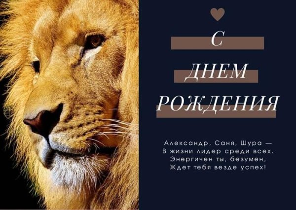 лев красивый