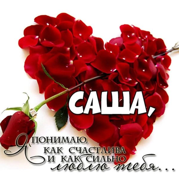 люблю тебя сашка