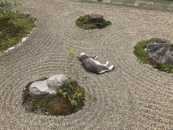 Мужчины с юмором