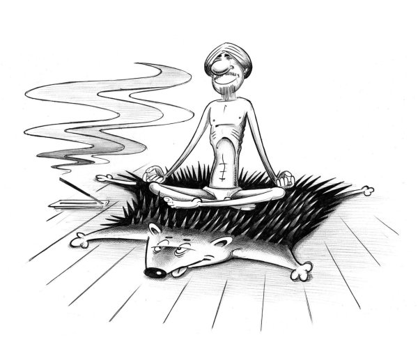 йог карикатура