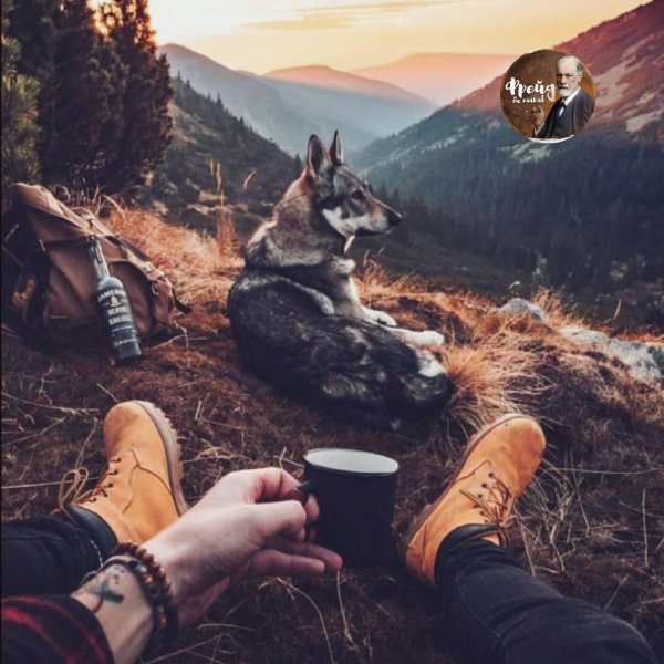 природа жизнь