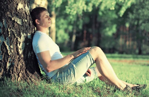 человек сидит под деревом