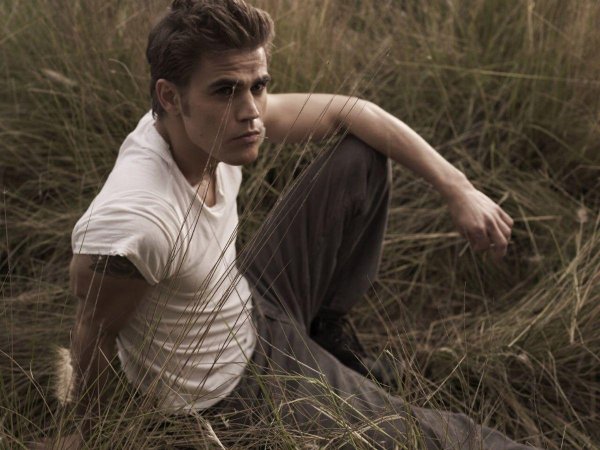 стефан сальваторе