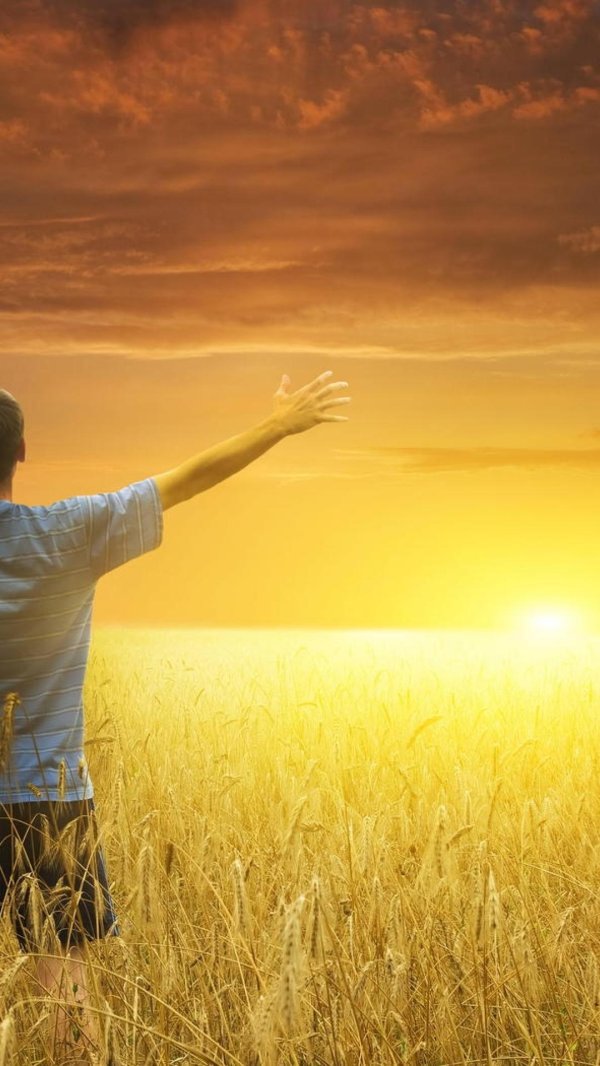 солнца рассвет