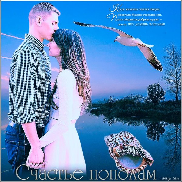 счастье пополам