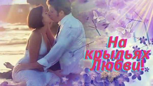 несколько слов нежности