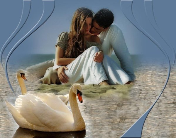 лебединая верность