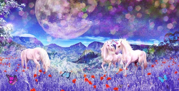 мир единорогов