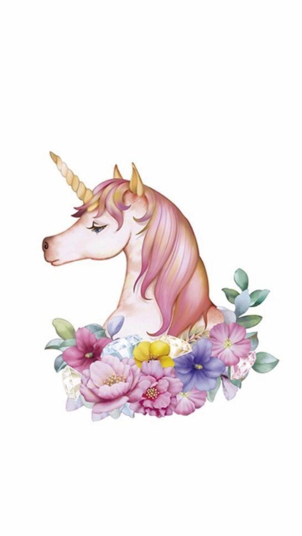 единорожка на белом фоне