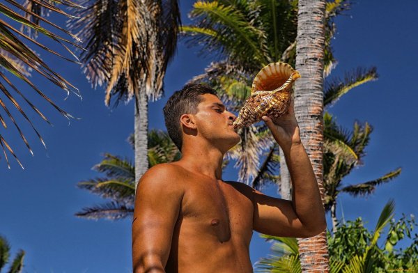 парень с пальмой