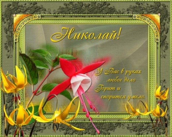 поздравление николаю