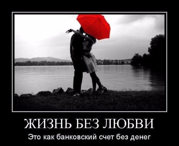 Смысл жизни мужчины