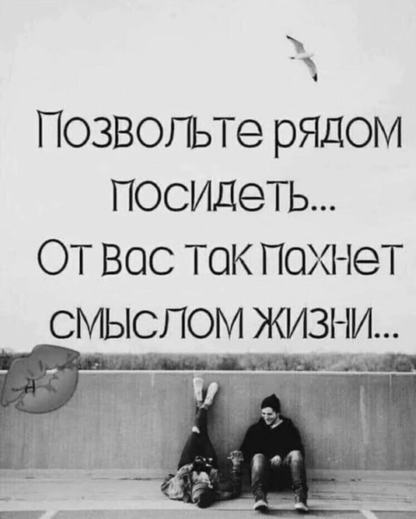 Смысл жизни мужчины