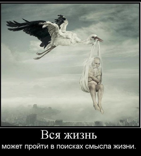 Смысл жизни мужчины