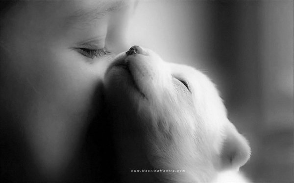 Смысл жизни мужчины