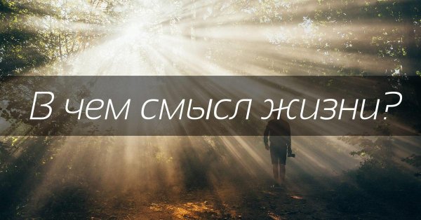 Смысл жизни мужчины