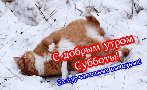 доброго утра суббота