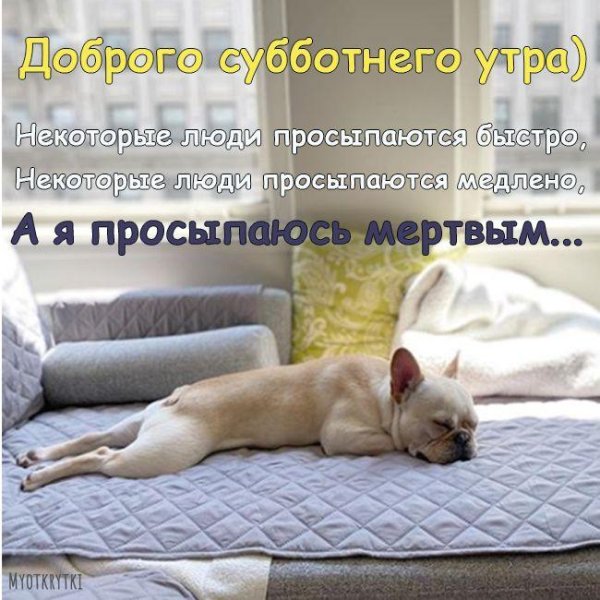 доброго субботнего утра прикольные