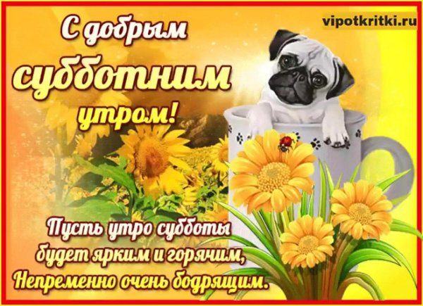 поздравление с субботой