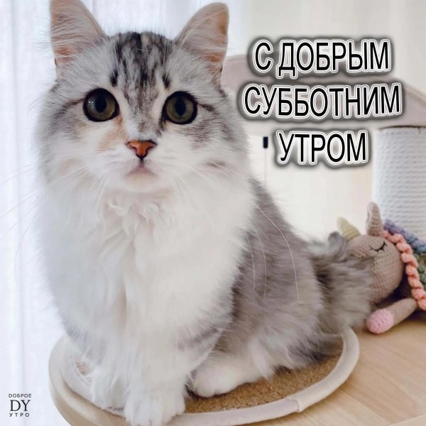 доброе субботнее утречко