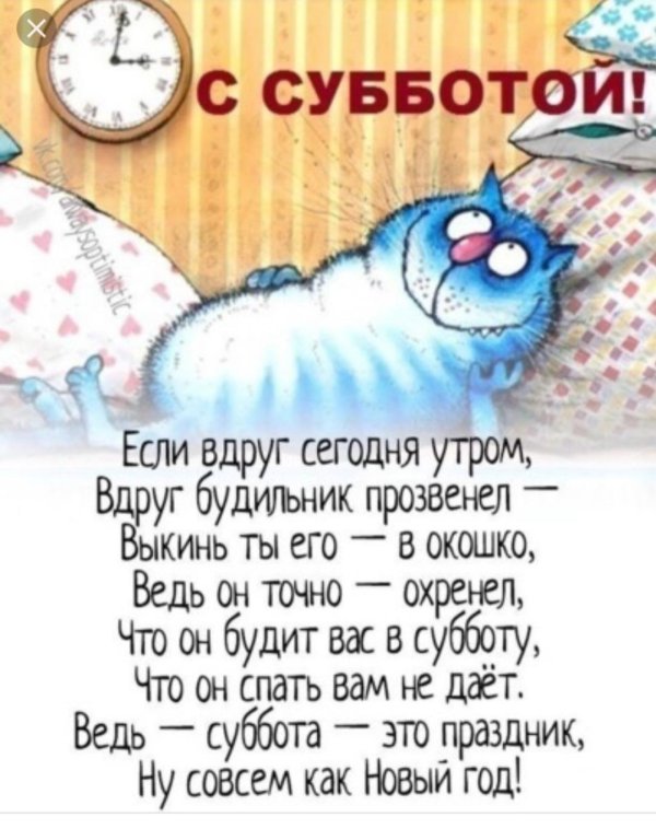 коты ирины зенюк спят