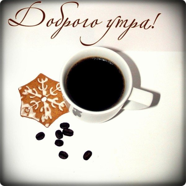 стильные пожелания с добрым утром