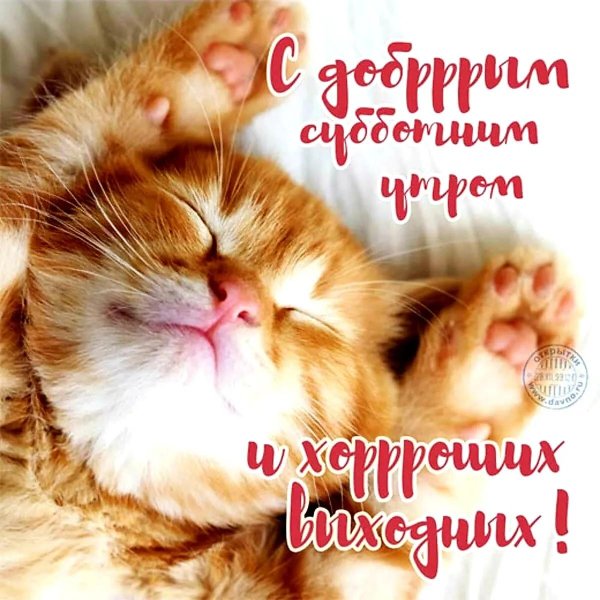 сдрбрым субботним утром
