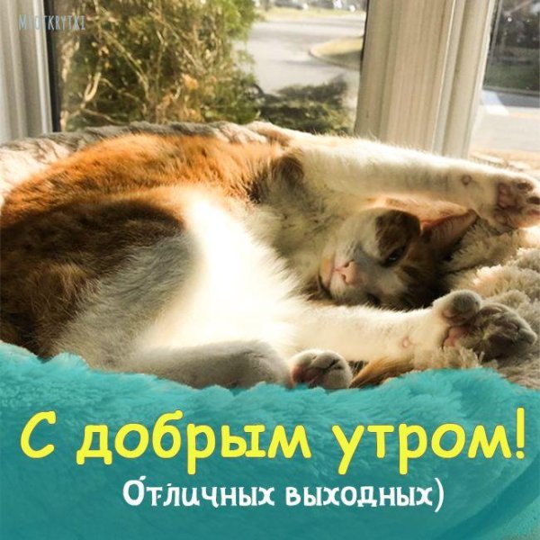 суббота утро