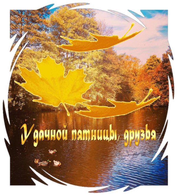 добрый осенний деньпятница