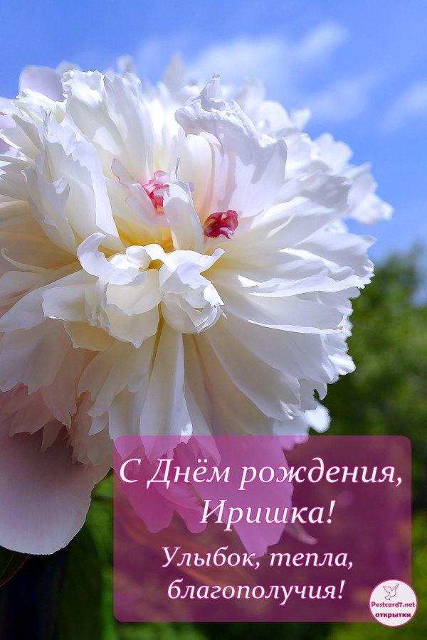 поздравление с днём рождения ирине красивые