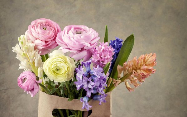 ранункулюс пикоти