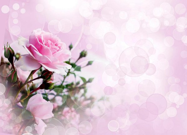 открытки и поздравления