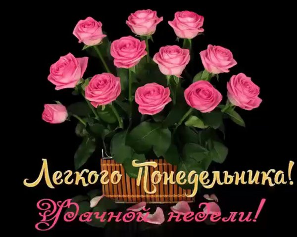 легкого понедельника