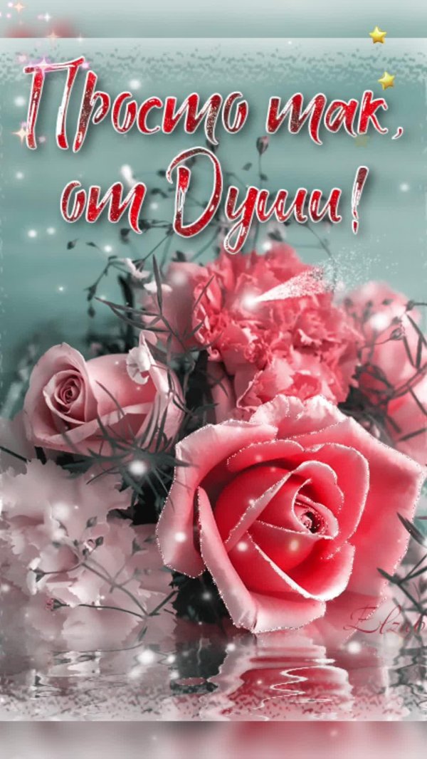 нежные цветы для тебя