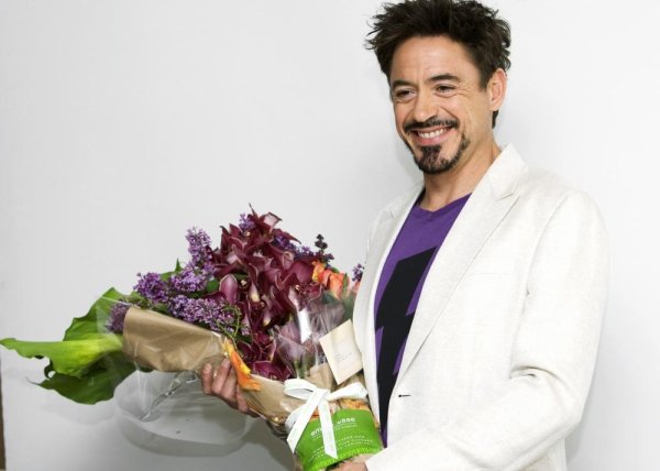 дауни роберт