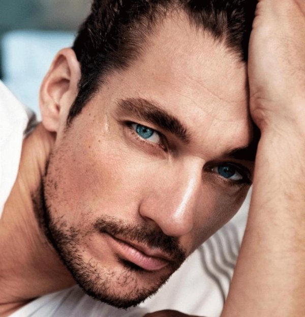 david gandy