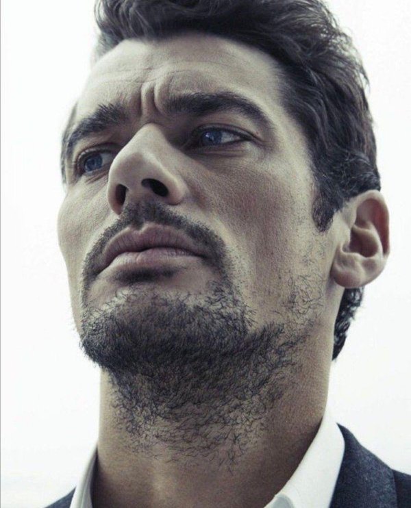 david gandy