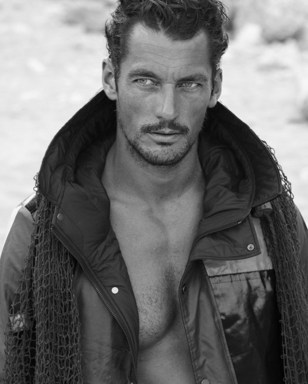 david gandy