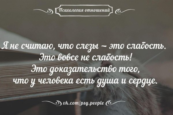 слезы это не признак слабости