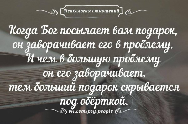 об отношениях