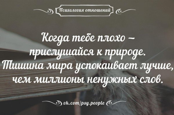 высказывания об отношениях