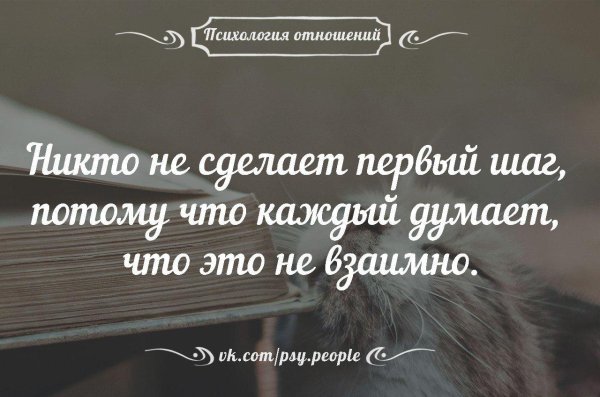 отношение цитаты