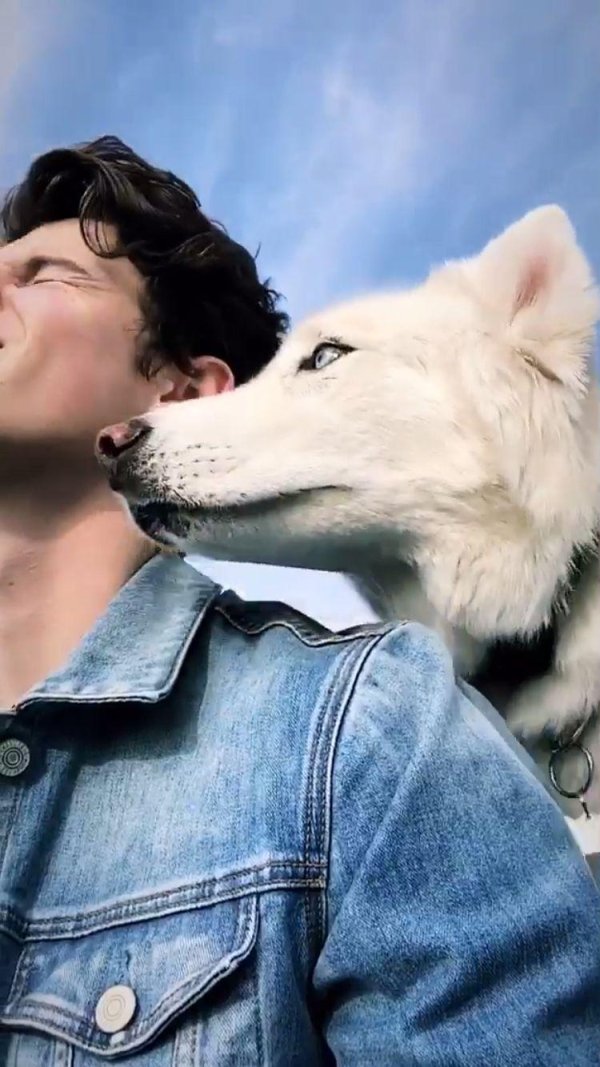 милые парни