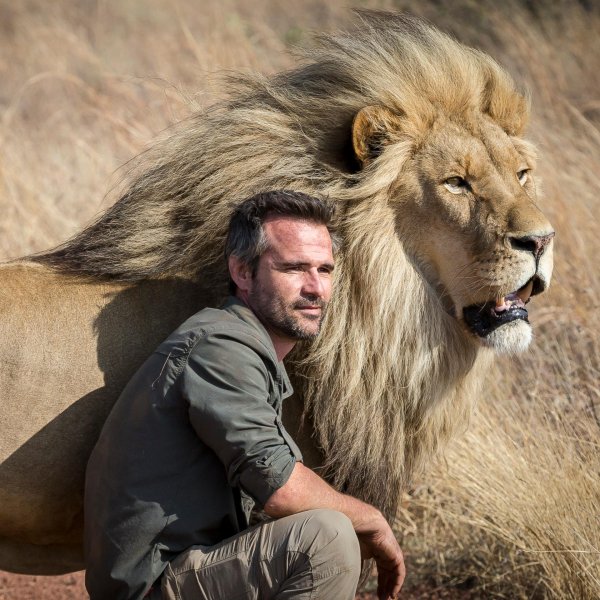 kevin richardson lion whisperer